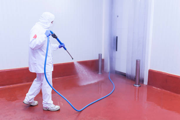Trusted Beattystown, NJ Pressure Washing Services Experts